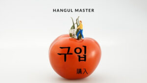 韓国語で「購入」とは？【구입】意味を勉強しよう！