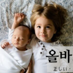 韓国語で「正しい」とは?【올바르다】意味を勉強しよう!