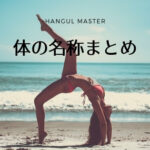 韓国語で【몸】とは?「体の名称」まとめ