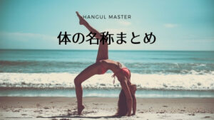 韓国語で【몸】とは?「体の名称」まとめ