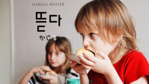韓国語で「かじる」とは?【뜯다】意味を勉強しよう!