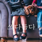 韓国語で「撫でる」とは？【쓰다듬다】意味を勉強しよう！