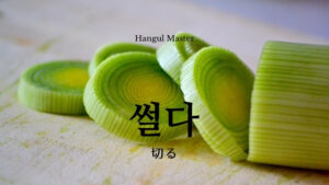 韓国語で「切る」とは？【썰다】意味を勉強しよう！