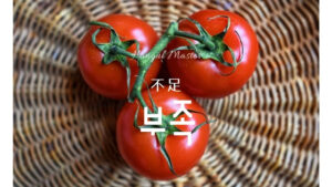 韓国語で「不足」とは？【부족】意味を勉強しよう！