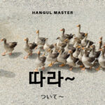 韓国語で「ついて~」とは?【따라~】意味を勉強しよう!