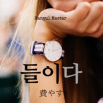 韓国語で「費やす」とは?【들이다】意味を勉強しよう!