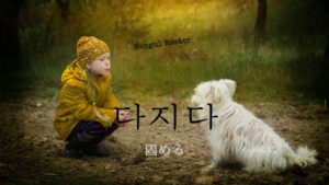 韓国語で「固める」とは?【다지다】意味を勉強しよう!