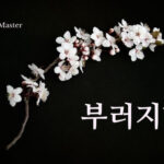 韓国語で「折れる」とは？【부러지다】意味を勉強しよう！