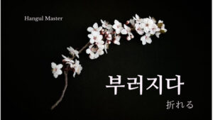 韓国語で「折れる」とは？【부러지다】意味を勉強しよう！