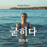 韓国語で「固める」とは？【굳히다】意味を勉強しよう！
