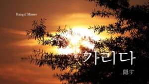 韓国語で「隠す」とは？【가리다】意味を勉強しよう！