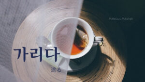 韓国語で「遮る」とは？【가리다】意味を勉強しよう！