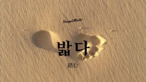 韓国語で「踏む」とは?【밟다】意味を勉強しよう!