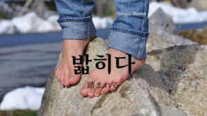 韓国語で「踏まれる」とは?【밟히다】活用する