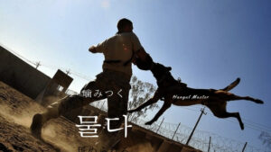 韓国語で「噛みつく（くわえる）」とは？【물다】活用する！