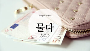 韓国語で「支払う」とは？【물다】意味を勉強しよう！
