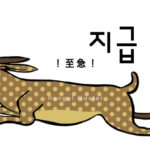 韓国語で「至急」とは?【지급】意味を勉強しよう!