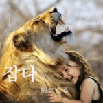 韓国語で「捕まえる」とは?【잡다】意味を勉強しよう!