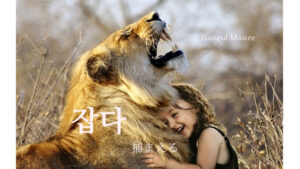 韓国語で「捕まえる」とは？【잡다】意味を勉強しよう！