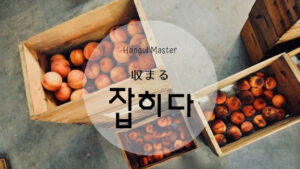 韓国語で「収まる」とは？【잡히다】意味を勉強しよう！
