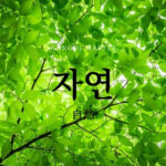 韓国語で「自然」とは？【자연】意味を勉強しよう！