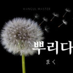 韓国語で「まく」とは?【뿌리다】意味を勉強しよう!