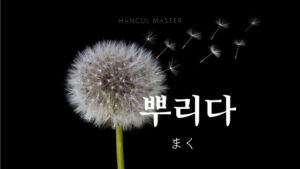 韓国語で「まく」とは？【뿌리다】意味を勉強しよう！