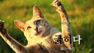 韓国語で「掻かれる」とは？【긁히다】意味を勉強しよう！