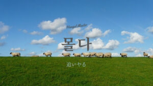 韓国語で「追いやる」とは？【몰다】意味を勉強しよう！