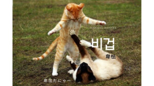 韓国語で「卑怯」とは？【비겁】意味を勉強しよう！