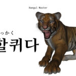 韓国語で「ひっかく」とは？【할퀴다】意味を勉強しよう！