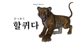 韓国語で「ひっかく」とは？【할퀴다】意味を勉強しよう！