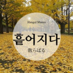 韓国語で「散らばる」とは？【흩어지다】意味を勉強しよう！