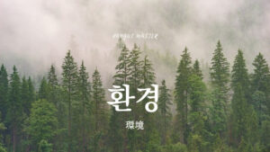 韓国語で「環境」とは？【환경】意味を勉強しよう！