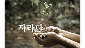 韓国語で「育つ」とは？【자라다】意味を勉強しよう！