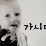 韓国語で「すすぐ」とは?【가시다】意味を勉強しよう!