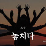 韓国語で「逃す」とは?【놓치다】意味を勉強しよう!