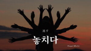 韓国語で「逃す」とは？【놓치다】意味を勉強しよう！
