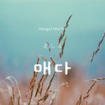 韓国語で「むしる」とは?【매다】意味を勉強しよう!