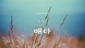 韓国語で「むしる」とは？【매다】意味を勉強しよう！