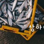 韓国語で「傷む」とは？【상하다】意味を勉強しよう！