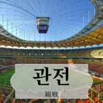 韓国語で「観戦」とは?【관전】意味を勉強しよう!