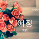 韓国語で「愛情」とは?【애정】意味を勉強しよう!