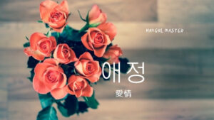 韓国語で「愛情」とは？【애정】意味を勉強しよう！
