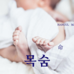 韓国語で「命」とは?【목숨】意味を勉強しよう!