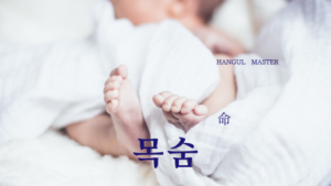 韓国語で「命」とは？【목숨】意味を勉強しよう！