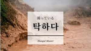 韓国語で「濁っている」とは?【탁하다】意味を勉強しよう!