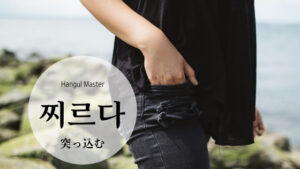 韓国語で「突っ込む」とは？【찌르다】意味を勉強しよう！