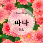 韓国語で「摘む」とは？【따다】意味を勉強しよう！
