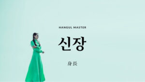 韓国語で「身長」とは?【신장】意味を勉強しよう!